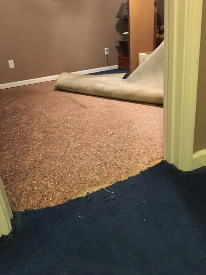 Carpet pad removal revealing water damage during Water Mitigation Services in Waite Park