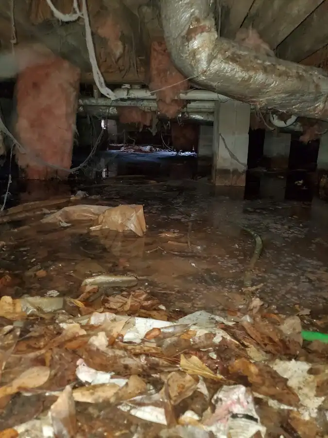 Crawl space flood assessment for Leak Detection & Repair in Waite Park